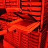 Diane Loopstra checks on some eggs incubating in heath trays at the William Jack Hernandez Hatchery.