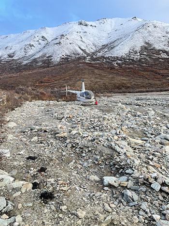 The helicopter landing site near the creek bed at the foothills of the Alaska Range The four piles of bear scat in the foreground were a reminder to approach the kill site cautiously Photo by Mike Taras