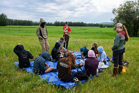 A banding crew at Creamer39s Field working with adult Tree Swallows Photo by Alex Lenaghan