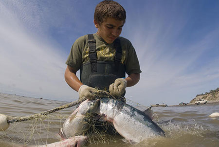 Caring for Your Catch, Alaska Department of Fish and Game