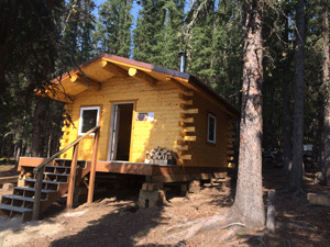 view of the donna lake cabin