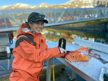 ADF&G staff sampling Rockfish