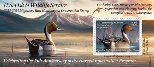 Federal Migratory Bird Hunting Stamp