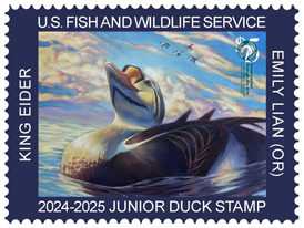 2019 Junior Duck Stamp