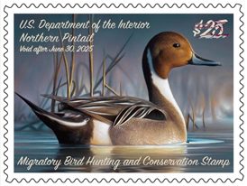 Federal Migratory Bird Hunting Stamp