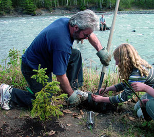 Transplanting at Eagle River