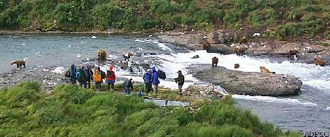 McNeil River State Game Sanctuary