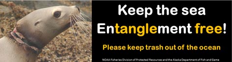 Keep the Sea Entanglement Free Bumper Sticker