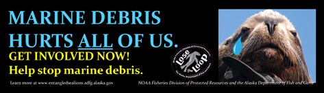 Marine Debris Hurts Us All Bumper Sticker