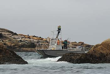 Marine Mammal Program