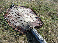 Bearded seal skin drying to make mukluk bottoms