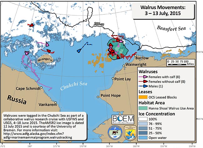 Requested Walrus Tracking Map