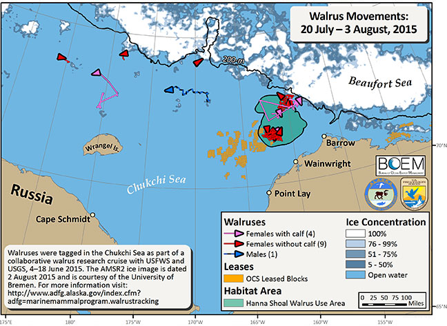 Requested Walrus Tracking Map