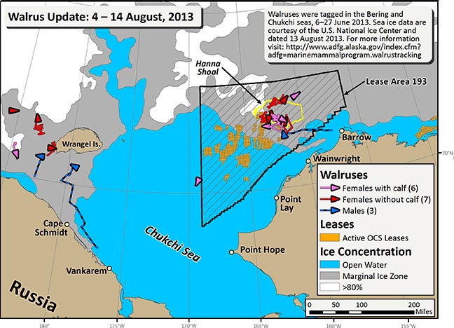 Requested Walrus Tracking Map