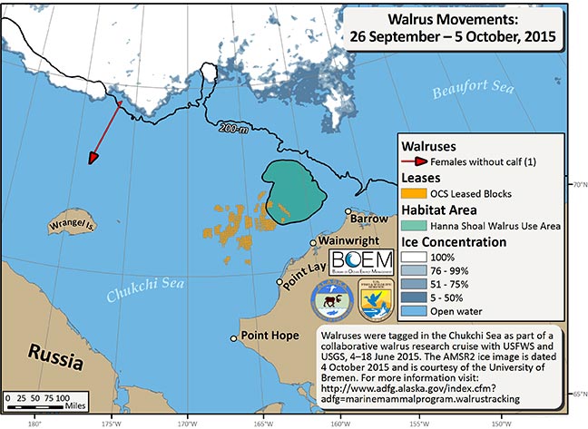 Requested Walrus Tracking Map