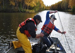 people hauling net for pike