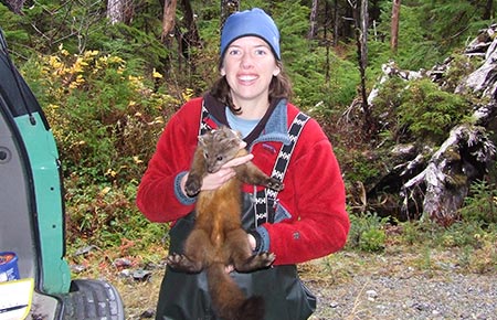 Photo of a American Marten