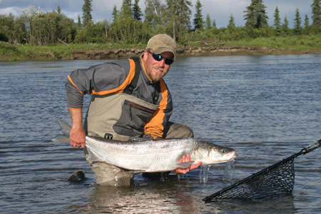 Photo of a Sheefish