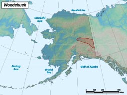 Woodchuck range map