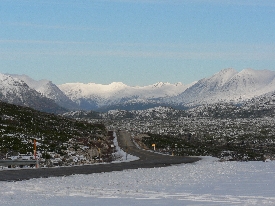 photo of Klondike Highway area wildlife