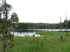 photo of Three Lakes Trail area wildlife