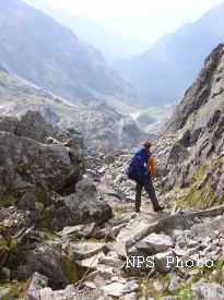 photo of Chilkoot Trail area wildlife