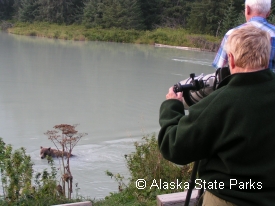 photo of Chilkoot River area wildlife